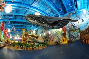 Places to Go: the Jurassic Water Park or "Dream Island"